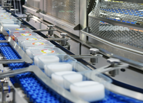 工場のライン作業の様子。