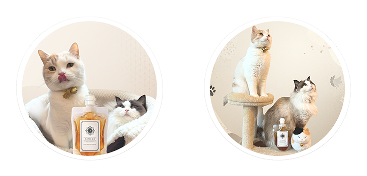 LAMBDA(ラムダ)ジェルクレンジングと猫２匹の画像。