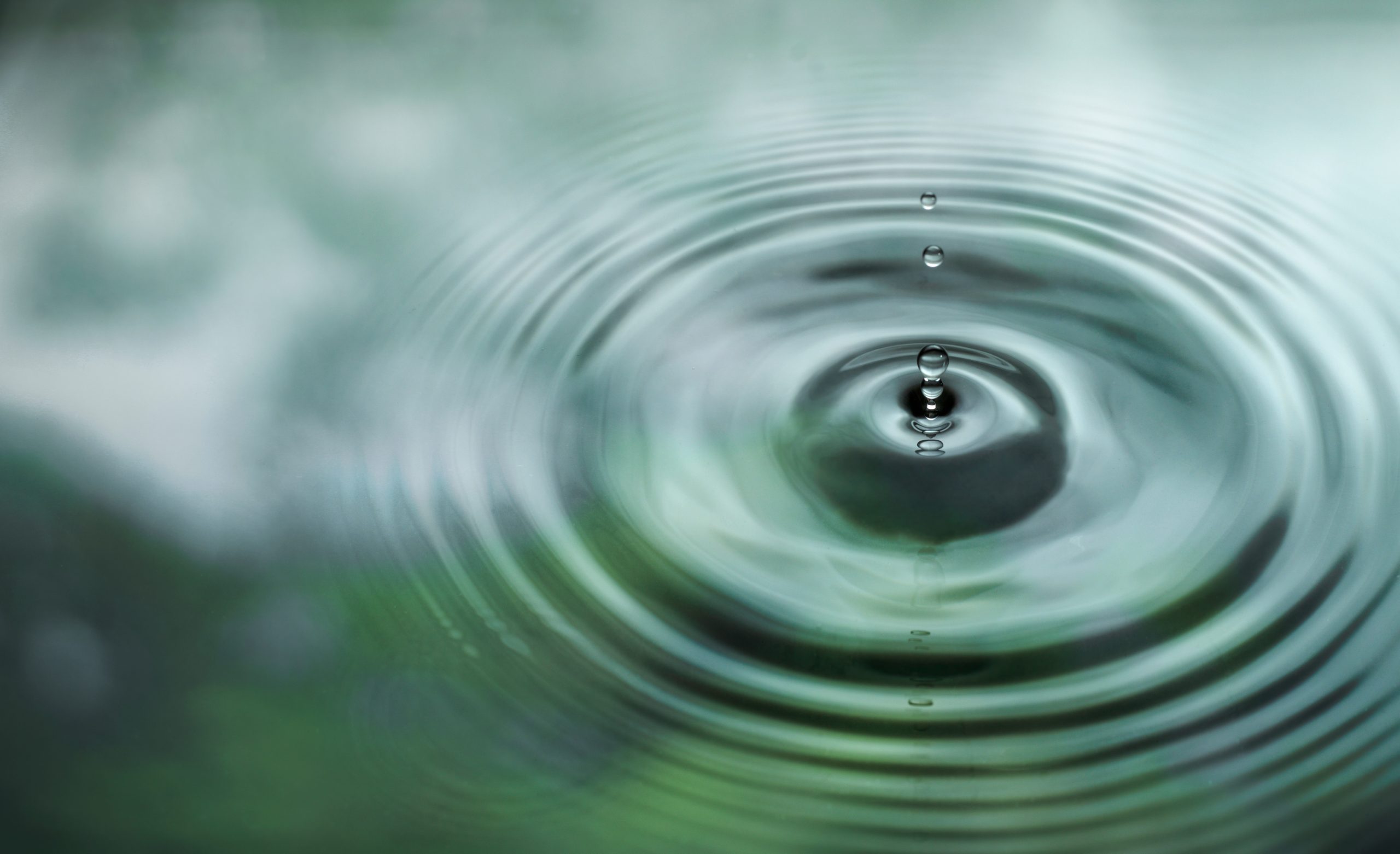 緑の木の反射が映った水に雫が落ちる様子。