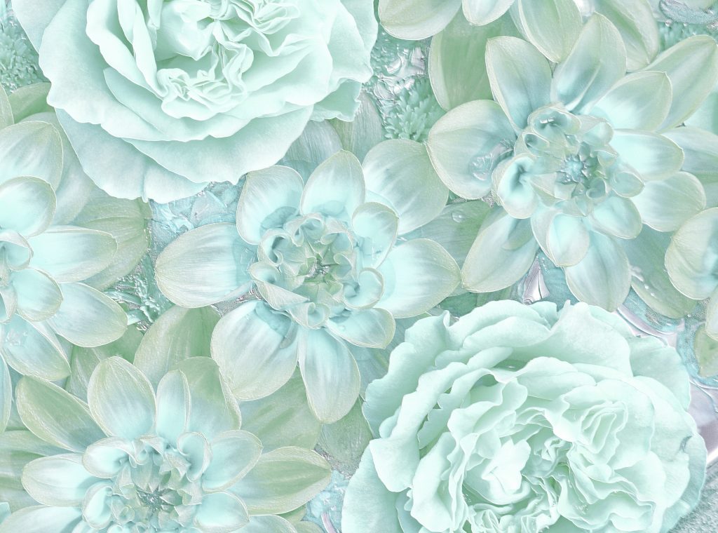 NEWSお知らせの画像1。