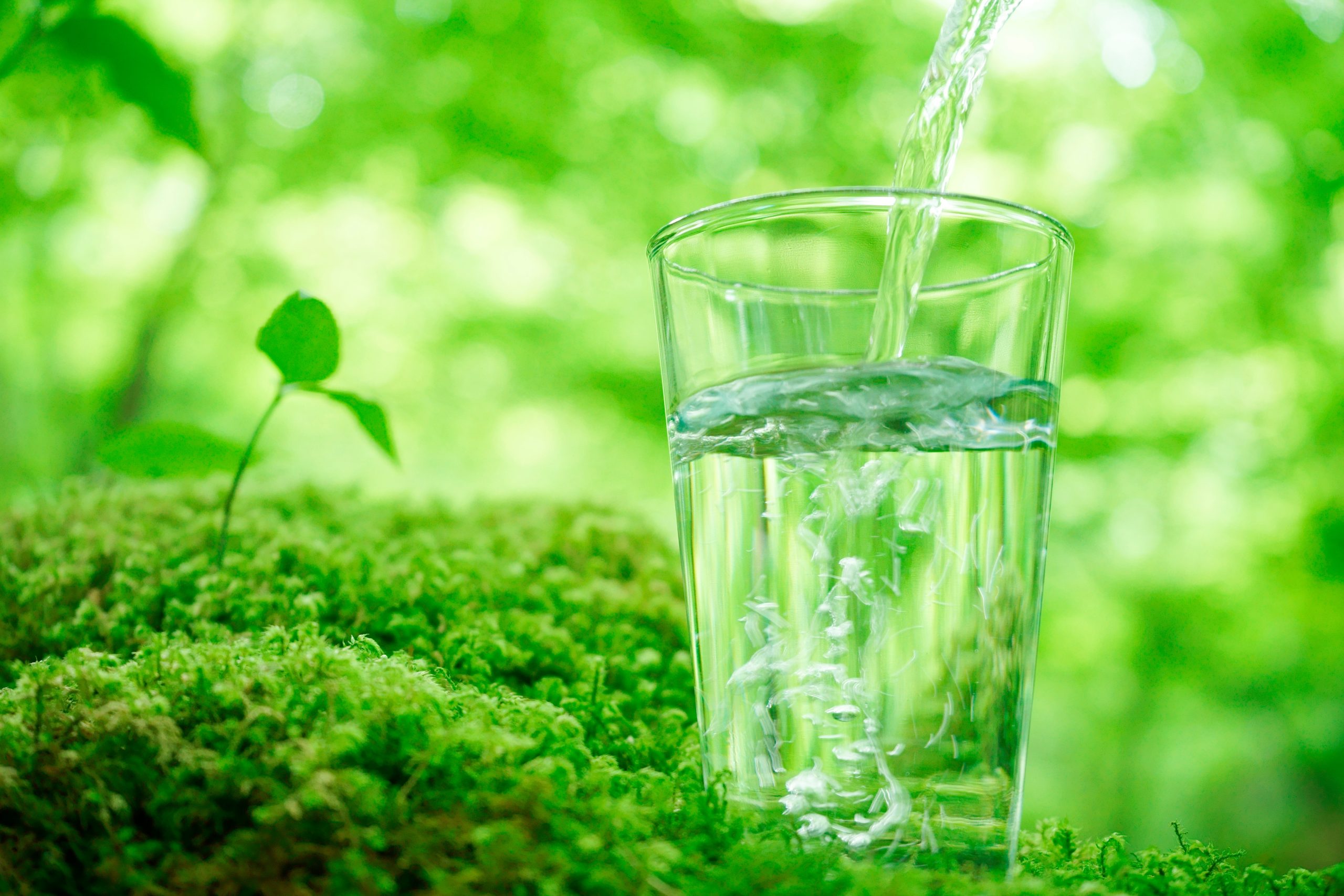 循環を表現する新緑とコップに水が注がれる様子。