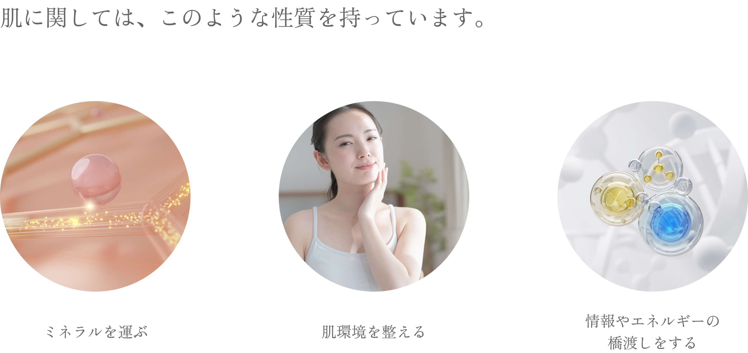 肌に関する性質を表した3つの画像。
ミネラルを運ぶ・肌環境を整える・情報やエネルギーの橋渡しをするの３つを表現している。